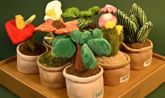 image de la Collection 